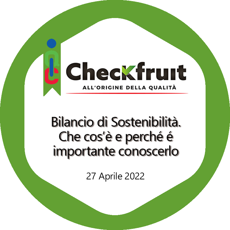 Bilancio di sostenibilità. Cos'è e perché è importante conoscerlo